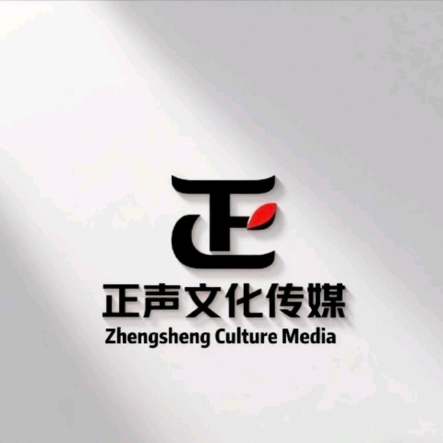 武汉正声文化传媒有限公司